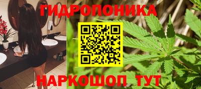 ешки Боровичи